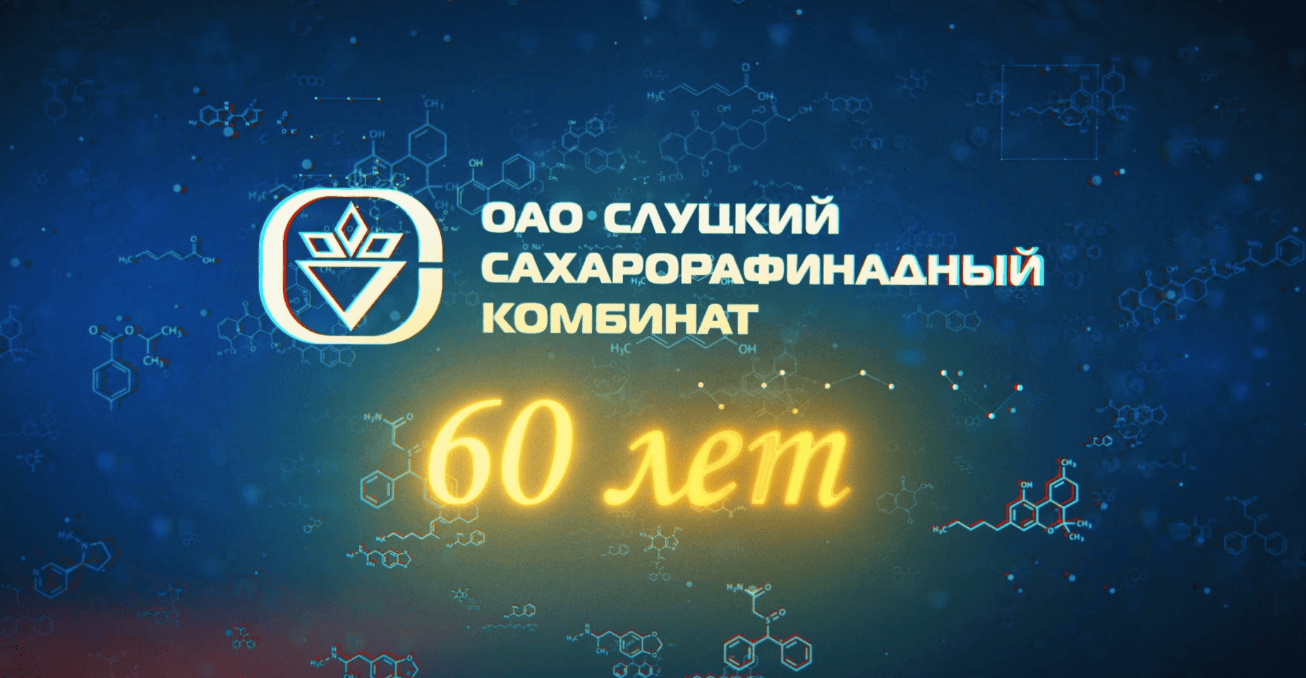 Праздничный концерт для пенсионеров и ветеранов ОАО «Слуцкий сахарорафинадный комбинат». 